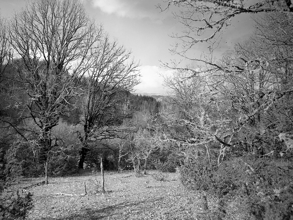 A Glade near the Dilofo Village