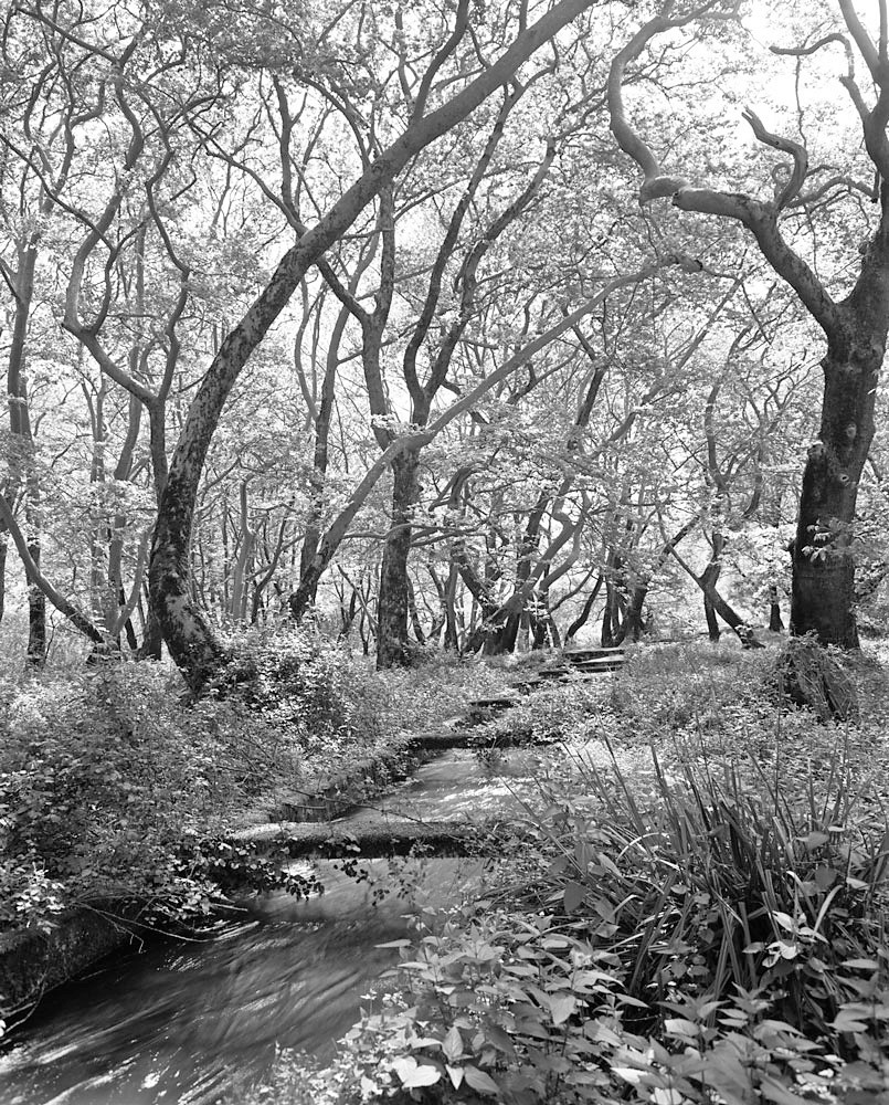 Near the Dilofo Village II