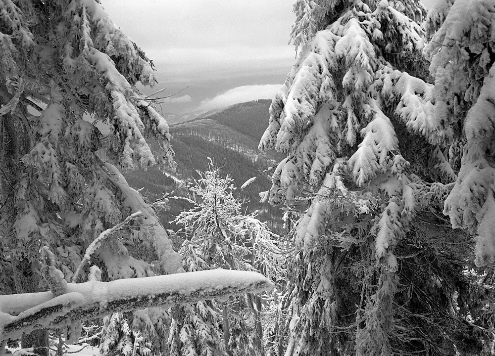 Mt. Velka Stolova covered by fog
