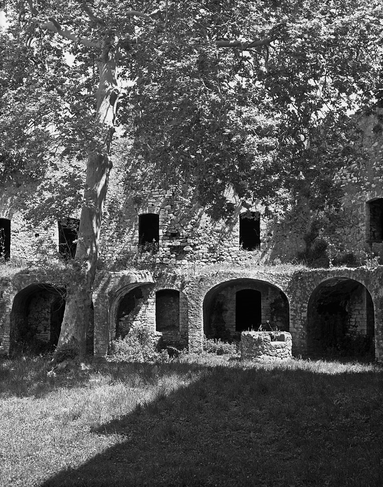 The Pantokratoras Castle Ruins I