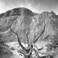 Arches National Park 11