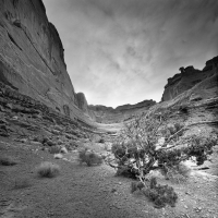 Arches National Park 5