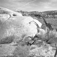 Arches National Park 9
