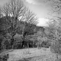 A Glade near the Dilofo Village