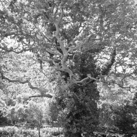 Near the Dilofo Village I
