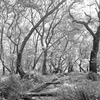Near the Dilofo Village II